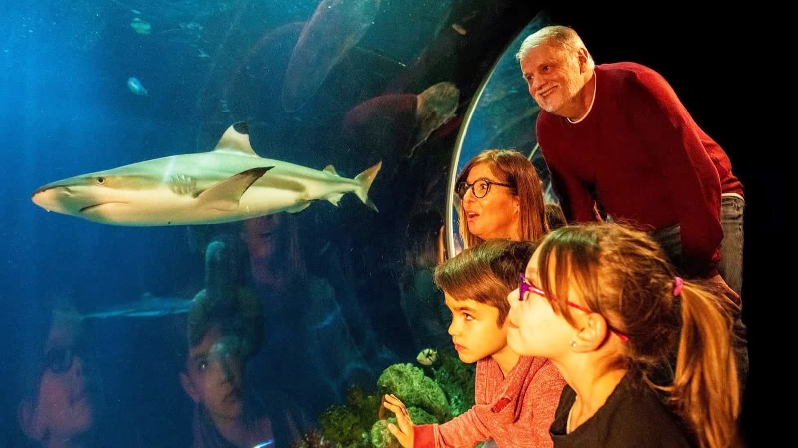 Oberhausen met SEA LIFE Aquarium incl. Hotel foto 3