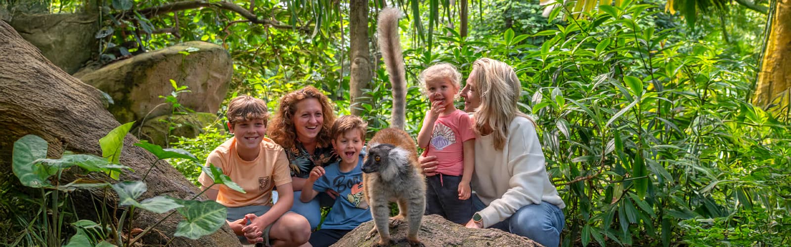 Beleef een onvergetelijk avontuur in Wildlands Adventure Zoo Emmen